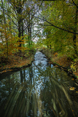 Dobrovodsky creek near confluence with Vltava river in autumn evening