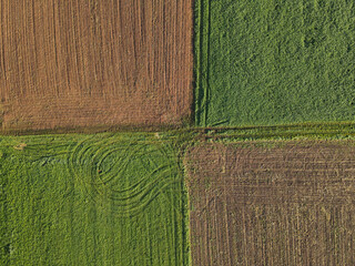 Square green grass fields and brown plowed fields with soil in summer 