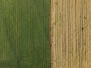 Green and yellow country fields in the countryside from above