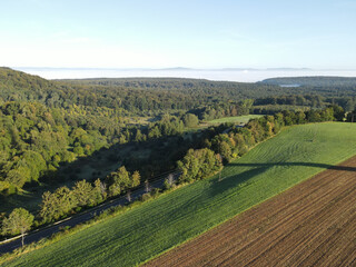Obraz premium View from above of a landscape with agriculture fields and forest trees on a sunny morning with a little fog in summer