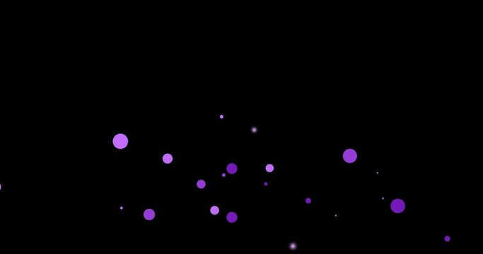 Confetti animation isolated on black background. Festive holiday colorful animation with round confetti of purple and violet and lilac.