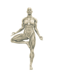 female swole muscle maps on one foot in the ground yoga pose