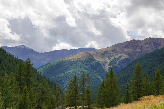 Beautiful panorama and nature of the Italian Dolomites © Pavel
