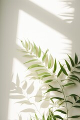 Shadows of leaves on the wall background - generative ai