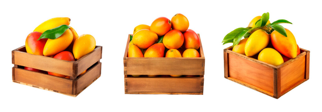 Three wooden box full of mangos over white transparent background