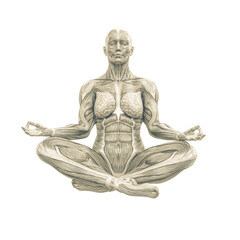 female swole muscle maps on sitting meditation yoga pose