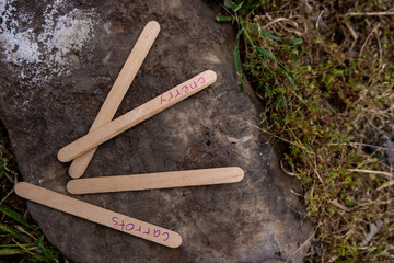 sticks with a marking of garden plants.