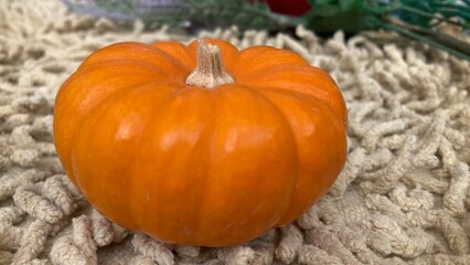 Orange pumpkin for halloween