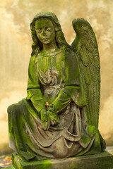 Historic Statue on the autumn mystery old Prague Cemetery, Czech Republic