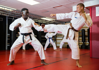Fototapeta premium African-american and caucasian man sparring together during karate training in gym.