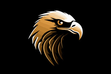 Fototapeta premium american bald eagle with background
