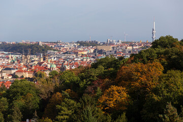 Fototapeta na wymiar Autumn Prague City with colorful Trees from the Hill Petrin, Czech Republic