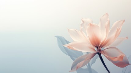 Obraz premium Meadow Whispers Whispering Floral Delights Orchid Opulence Floral Elegance Collection