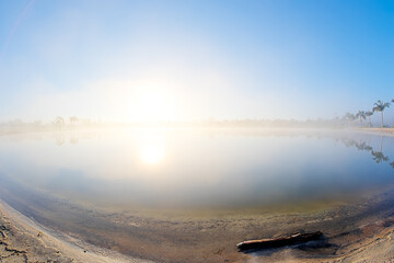 Misty Mornings: Palms and Tranquility by the Lakeside at Dawn