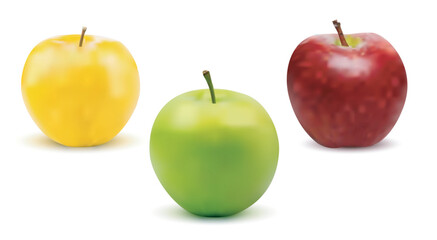 Three apples in different colors, isolated on white background. Vector illustration