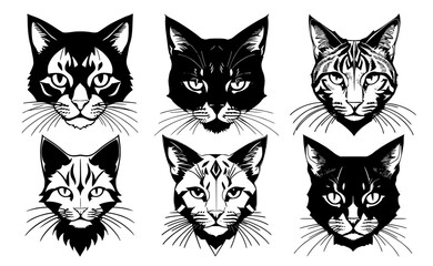 Set of cat heads with different calm expressions of the muzzle. Symbols for tattoo, emblem or logo, isolated on a white background.