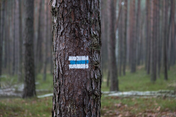 Fototapeta premium trail sign