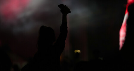 silhouettes of people at a concert. the spectators of a concert caught from behind enjoying the...