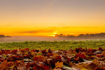 Beautiful autumn landscape at sunset with fallen leaves on the foreground - 671849946