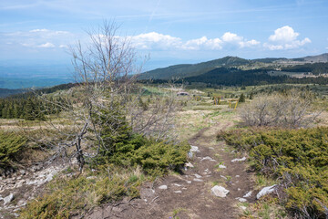 Spring view of Konyarnika area at Vitosha Mountain, Bulgaria