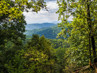 The wild and wonderful nature at Cranny Crow Overlook, , Lost River State Park, West Virginia.