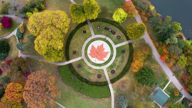 Aerial Canada Toronto in High Park. Maple leaf in Canadian flag decorated with flowers in a park.