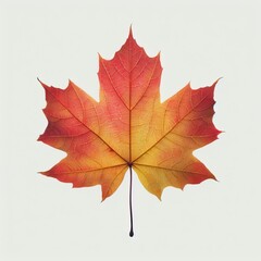 Obraz premium autumn maple leaf isolated generative ai