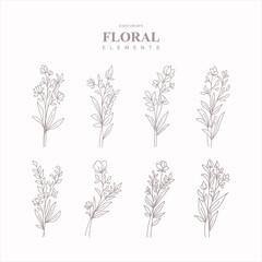 Floral Illustration Logo Elements Vector set