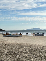 Fototapeta na wymiar Peixes na areia com Pescadores na praia dos Ingleses Florianópolis