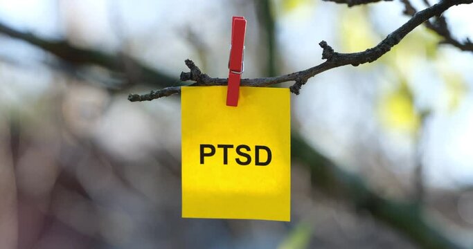 A yellow paper note with the abbreviation PTSD (Posttraumatic stress disorder) on it attached to a tree branch with a clothes pin. Close up.