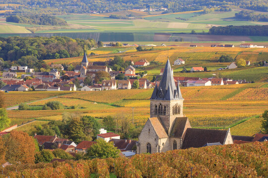 Ville-Dommange, village de Champagne, class&eacute; premier cru