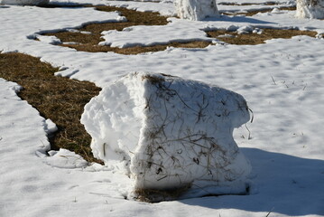 Fototapeta na wymiar うっすら積もった雪に枯草のついた大きな雪のかたまり
