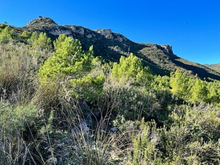 hills in surroundings of Barcelona