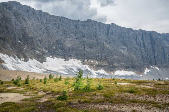 Summer hike in Canadian Rockies