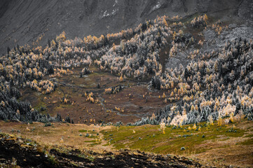 Autumn hike in Canadian Rockies
