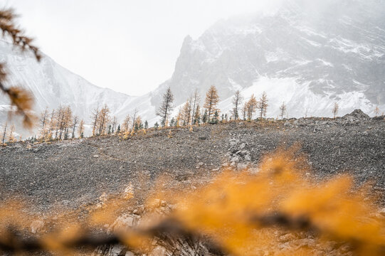 Autumn hike in Canadian Rockies