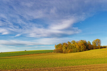 Krajobraz jesienny, naturalne tło, niebieskie chmury.