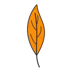 Leaf Element Vector Illustration 