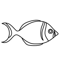 Lines Fish Vector Illustration Hand Drawn 