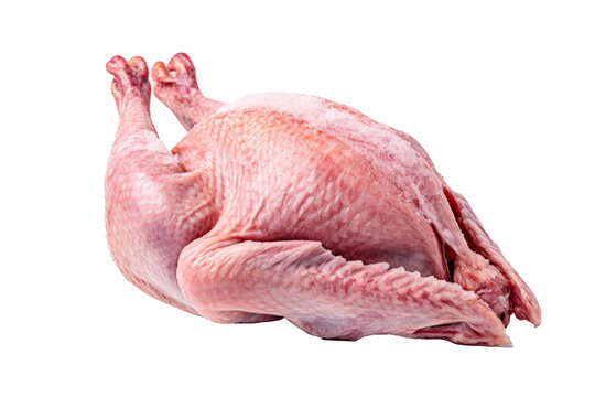 Raw Turkey, an Ingredient for Thanksgiving isolated on transparent background generative ai