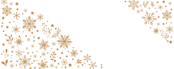 Foto op Canvas Gold Snow flakes decoration pattern. Winter illustration. Snow flakes, leaves and ornaments decoration background for winter holiday and Christmas. Vector illustration. © Lala
