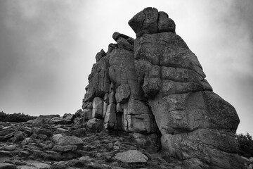 Słonecznik w Karkonoszach - posępna skała w pochmurną pogodę - czarno-białe