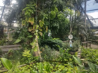 MAcapá amapá