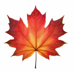 Obraz premium Autumn maple leaf isolated on white generative ai