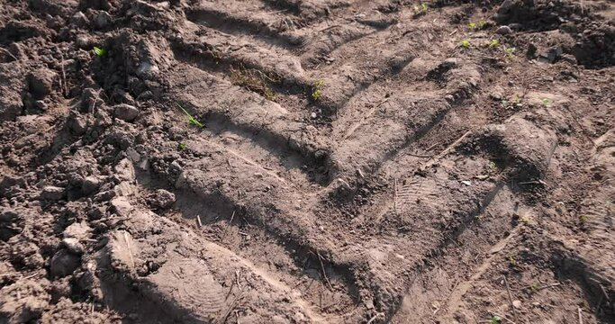 traces of heavy vehicles on a sandy road, tracks from the tread of trucks and tractors on the field