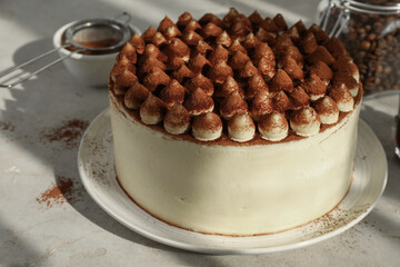 Delicious tiramisu cake with cocoa powder on light table, closeup