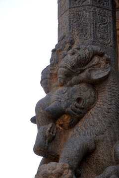 Lion sculpture carved in temple pillars. Ancient Indian stone sculpture of Yaali carved in the Airavatesvara Temple, Darasuram, Kumbakonam, Tamilnadu.