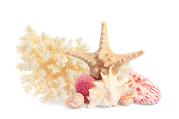 Obraz premium Sea star, shells and coral isolated on white