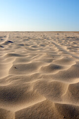 Landscape of sand dunes on west coast of Jutland in Loekken, Denmark. Closeup of sand surface texture on empty desert with blue sky and copyspace. Peaceful calm scenic to explore for travel vacation