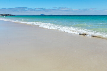 Fototapeta na wymiar Puheke Beach Landscape with Crystal Clear Waters and White Sandy Shores of Karikari Peninsula, Northland, New Zealand
